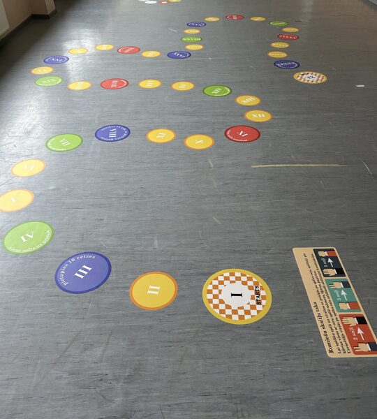 ROMIEŠU SKAITĻU TAKA