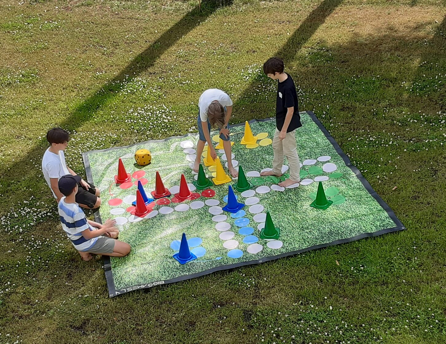 Ludo. Garden Ludo. Big Ludo. Garden games. Entertainment for children. Wedding games.