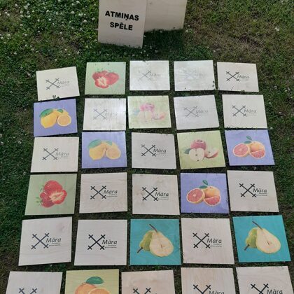 Memory game. Entertainment. Garden games.