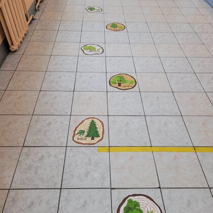 Laminated floor stickers Tree slices Educational stickers BigGames.lv