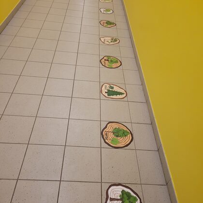 Izglītojošas grīdas uzlīmes Koku ripas BigGames.lv