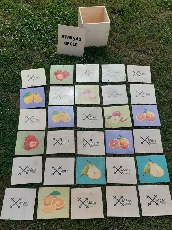 Atmiņas spēle. Izklaide. Dārza spēles.