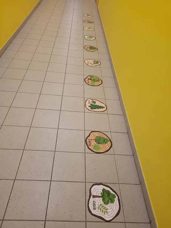 Izglītojošas grīdas uzlīmes Koku ripas BigGames.lv