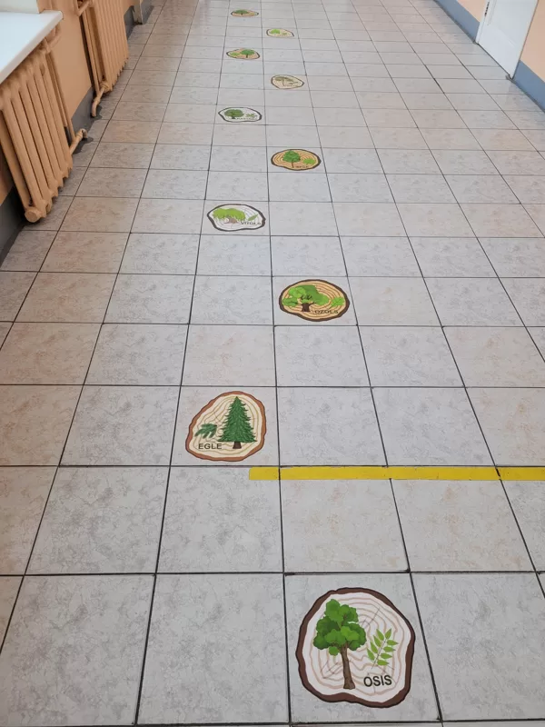 Laminētas grīdas uzlīmes Koku ripas Izglītojošas uzlīmes BigGames.lv